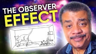 What is Schrödingers Cat  Neil deGrasse Tyson Explains [upl. by Nnylkoorb692]