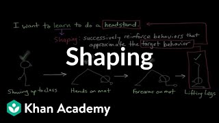 Operant conditioning Shaping  Behavior  MCAT  Khan Academy [upl. by Gaal]