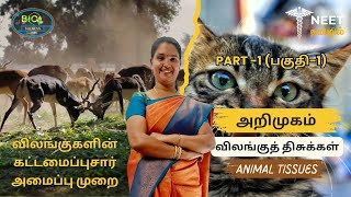 Structural Organisation in Animals  Part 1  Introduction  Animal Tissues  NEET Tamil  NEET [upl. by Nosittam]