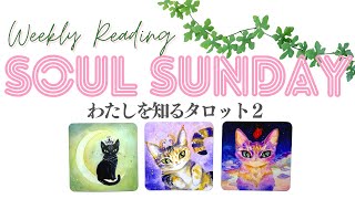 💜ソウルサンデー《わたしを知るタロット2》🌈ベストバージョンのわたしに出会う💫見た人だけがたどり着く運命の着地点はどこ？🔮週刊リーディング 🍀Weekly Reading 2023326） [upl. by Camm]