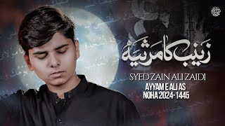 Zainab Ka Marsiya  Syed Zain Ali Zaidi  Mola Ali Noha  21 Ramzan Noha 2024 [upl. by Nrubloc858]