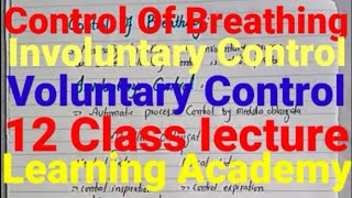 Control Of Breathing Involuntary Control And Voluntary Control [upl. by Emmerich482]