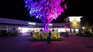 Gotemba Premium Outlet Part 2  19 Nov 2019 [upl. by Bikales104]