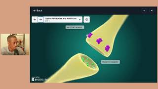 Addiction Pathway  Opioid Addiction  NeuropsychologyNeuropsychiatry Part 7 [upl. by Nnyre]