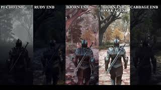 Nolvus Skyrim Comparación de ENB PiCho Rudy Bjorn Bjorn Dark Ages Cabbage [upl. by Ellehcer206]