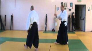 Korindo Aikido Israel 2013 sensei Avi Hazan amp sansei Boaz Grinvald [upl. by Eiwoh]