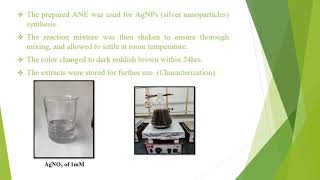 Green Synthesis of Silver Nanoparticles by Leaf Extract of Argyreia nervosa amp Anticancerous Activity [upl. by Leihcey]