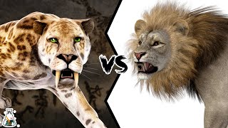 SABERTOOTHED TIGER VS AMERICAN LION  Which Wild Cat Was Stronger [upl. by Yatnoj]