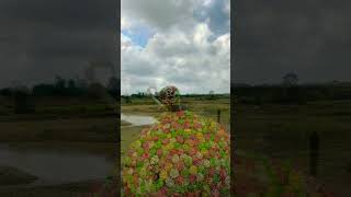 Candy  chocolate  cake  Candy lover Kakinada kaja  Beautiful view [upl. by Namyl]