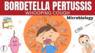 Whooping cough  Bordetella pertussis  All you need to know [upl. by Ellerad]