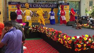 Best viral Bhangra  Winners  New songs  Bhangra lovecompetition Winners  Amity University chd [upl. by Gervase]