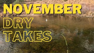 November Dry Takes  Trout Fishing Colorado [upl. by Hnahk]