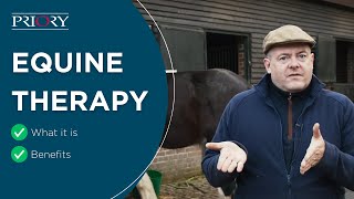 Equine Therapy  How it Works Benefits and What to Expect [upl. by Thadeus]