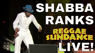 Shabba Ranks Live at Reggae Sundance 2016 Complete Show [upl. by Remde]