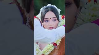 Dhanyawad Mayalu  Mahesh Kafle  Simpal Kharel  Prabhat Pal Thakuri New Nepali Song 2024 [upl. by Nelad]