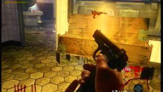 Black Ops Zombies Mystery Box Glitch Get Ray Gun [upl. by Yssenhguahs]