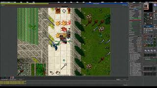 Court of Summer  Summer Dream Court  EK Solo Tibia Hunt 84 [upl. by Notnirb732]