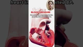 The Science Behind Blood Pressure Essential Information for Health Systolic amp Diastolic Explained [upl. by Pihc147]