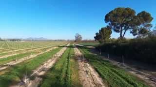 63 Acre Walnut OrchardColusa California [upl. by Ellenuahs]