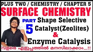 Enzyme Catalysis  Surface Chemistry class 12 in malayalam  Zeolites  Shape selective catalyst [upl. by Naynek652]