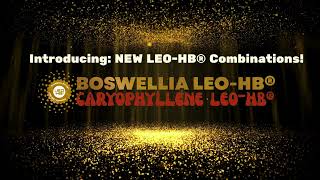 Boswellia Caryophyllene LEOHB® [upl. by Stark390]