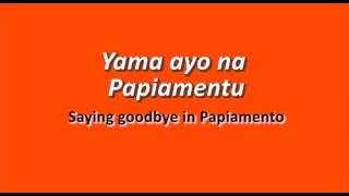 Learn Papiamento  Lesson 7  Useful words and Greetings [upl. by Vala741]