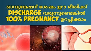 Early Pregnancy Discharge Malayalam Deechus World [upl. by Sivatnod]