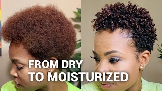 “New Cantuquot for  Dry Natural Hair  No gel Moisturized curls  short natural hair [upl. by Auhs756]