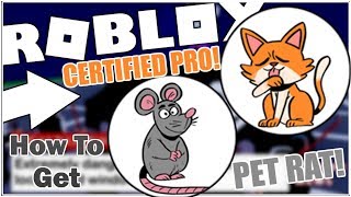 Roblox Break In Story How To Get Certified Pro Evil Ending Pet Rat YouWin Code Officer Fighter Badge [upl. by Tatiania]