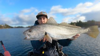 Westlakes Mulloway [upl. by Codd]