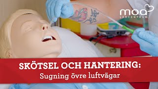 Skötsel och hantering  Sugning övre luftvägar [upl. by Remmus]