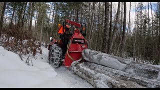 Logging In Maine With A Skidding Winch And A Compact Tractor [upl. by Man]