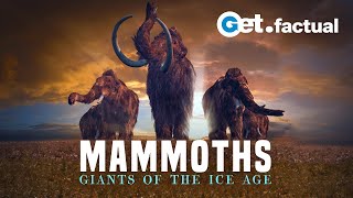 Tundra Tales Mammoths Resurrection Unveils Earths  Titans of the Ice Age  Nature Bites [upl. by Raye586]