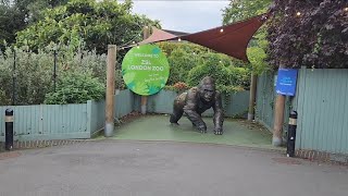 A Day at London Zoo 2024 [upl. by Mccahill]