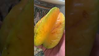 Hermosa naturaleza vida  delicioso carambolo de Colombia fruit nature youtubeshorts frutos [upl. by Lat111]