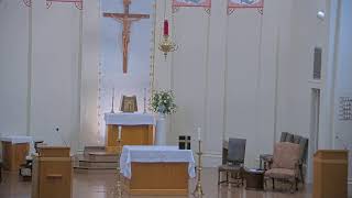 November 9 2024 at 400 pm Catholic Mass from Our Lady of Peace Vacherie LA [upl. by Eolande]