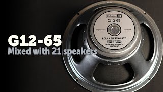 Celestion G1265 21 speakers Shootout [upl. by Xam409]