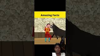 top 3 helping animals MRINDIANHACKER CrazyXYZ Sahillfact [upl. by Ginelle399]