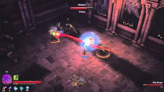 Diablo III  The Coop Mode [upl. by Rehctelf]