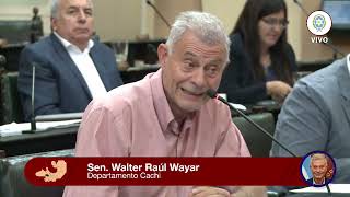 Senador Walter Wayar  Repudio [upl. by Ashti]