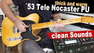 GREAT CLEAN amp THICK Telecaster Sounds with KEMPER STAGE Brunetti Singleman 16 [upl. by Betthezel118]