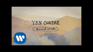 Cordae  Thousand Words Official Lyric Video [upl. by Akehsyt]