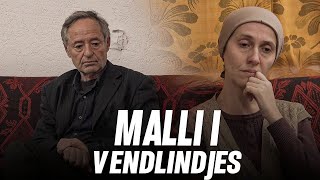 PROMO  MALLI I VENDLINDJES  Seriali më i ri shqip [upl. by Noissap494]