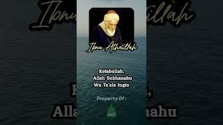 expression of ibn athaillah amshalawat videoshort shortvideo shortsfeed relaxingquran [upl. by Maxama49]