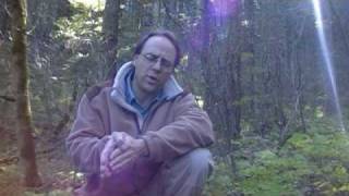 Pacific NW Bushcraft Tips PT 2 [upl. by Salamone]