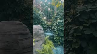 Gaylord Palms Orlando [upl. by Shiroma]