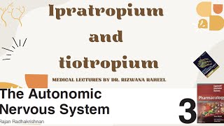 Ipratropium and Tiotropium Spiriva  Respiratory Drugs  Anticholinergics Lippincott Pharmacology [upl. by Esma]