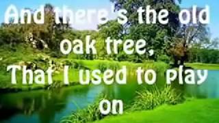 Green Grass and High Tides by The Outlaws Lyrics [upl. by Macgregor]