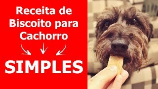 Biscoito para Cachorro Caseiro  O Melhor Biscoito para Cachorro Caseiro [upl. by Gershon]