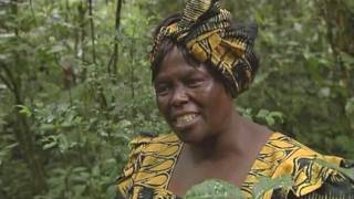 Wangari Maathai Tribute Film [upl. by Pier]